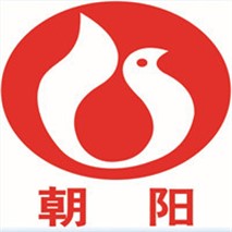 朝陽(yáng)泵業(yè)QZ軸流、QH混流潛水電泵